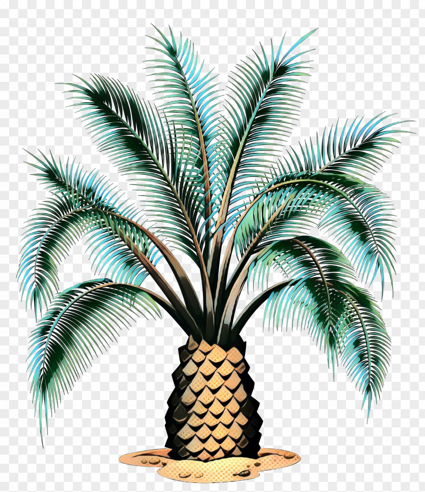 Vector Graphics Stock Illustration Royalty-free Palm Trees PNG