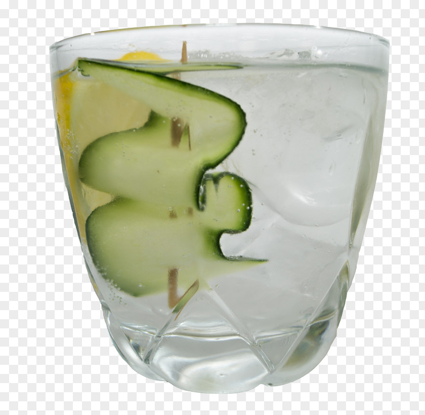 Pint Glass Drink Plant PNG