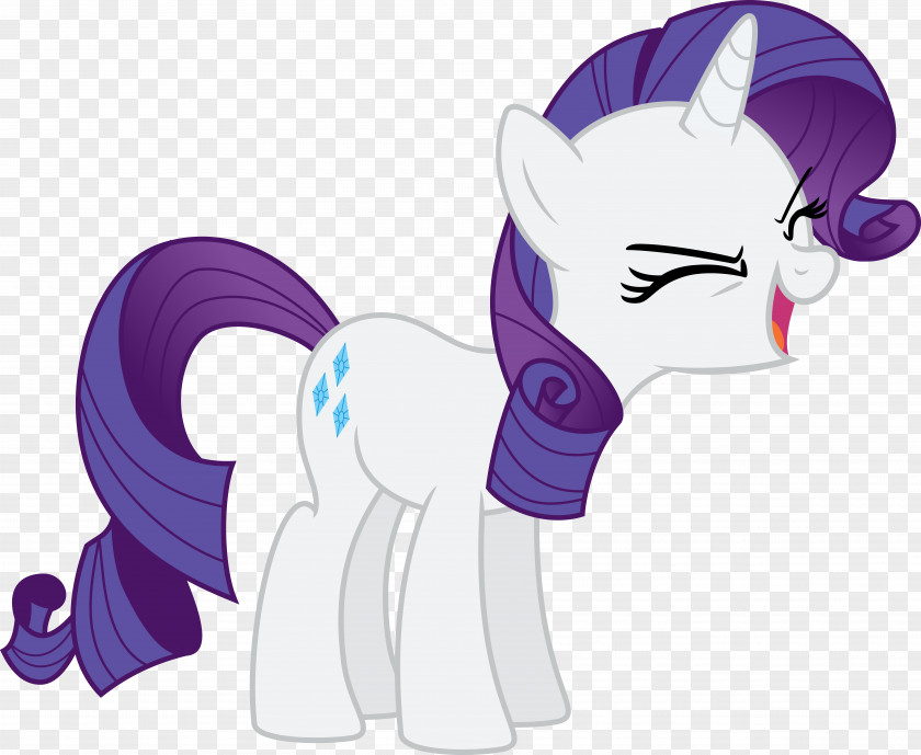 Rarity Pony Pinkie Pie Twilight Sparkle Rainbow Dash PNG