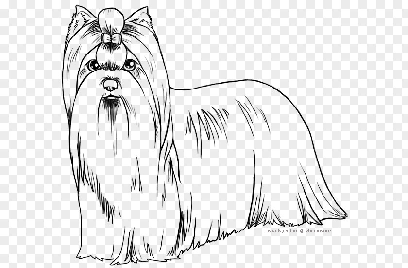 Rat Dog Breed Toy Yorkshire Terrier Line Art Whiskers PNG