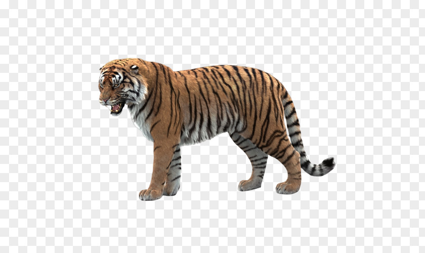 Tiger Bengal Animal Figure Wildlife Siberian PNG
