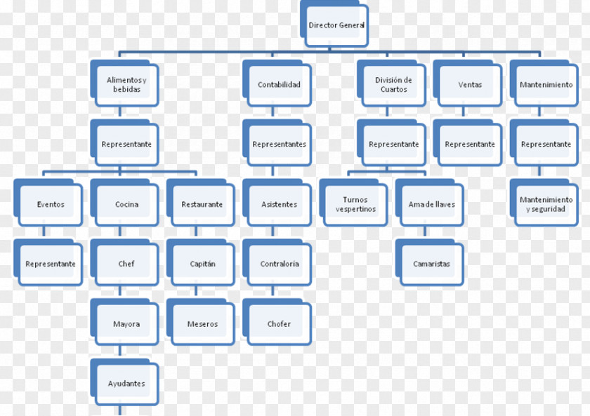 Business Organizational Chart Process Structure PNG