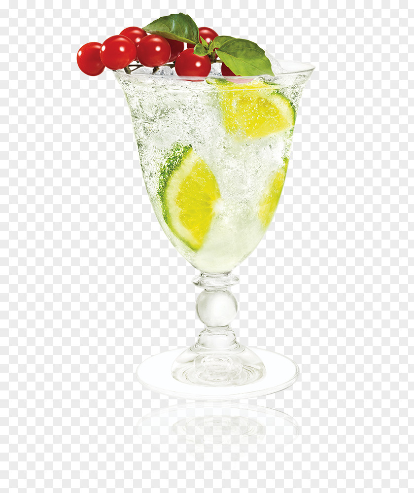 Eva Longoria Cointreau Cocktail Fizz Liqueur Gin PNG