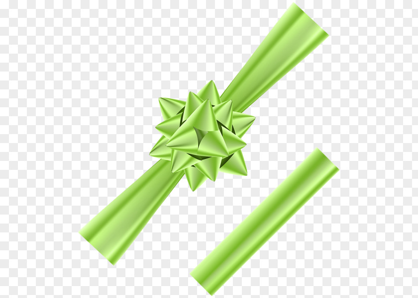 Green Ribbons Tambourine Clip Art PNG