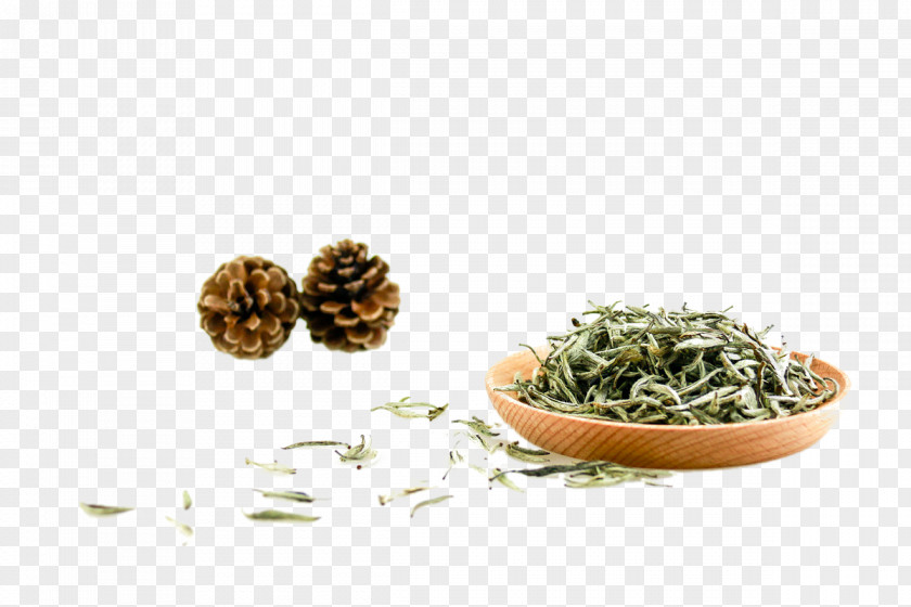 Green Tea High-mountain White Canned PNG