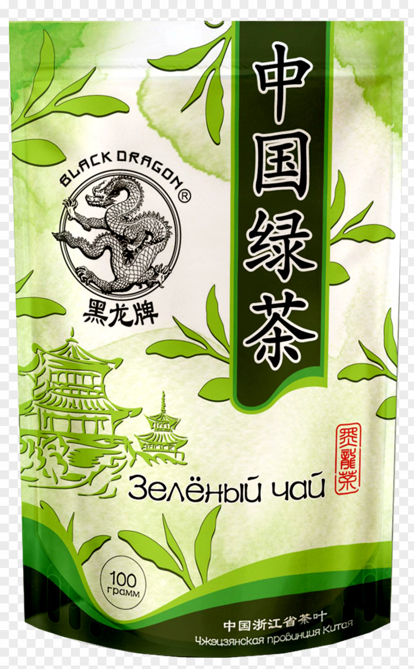 Green Tea Oolong Tieguanyin Plant PNG