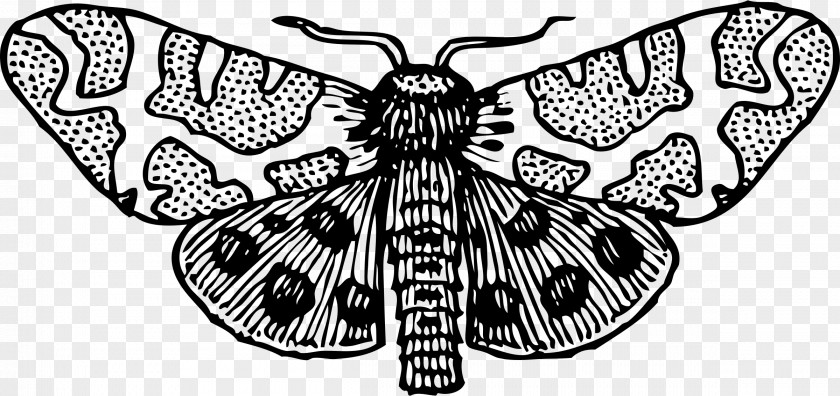 Mosquito Butterfly Insect Clip Art PNG