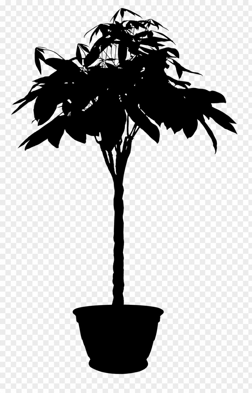 Palm Trees 3D Modeling Computer Graphics Three-dimensional Space Two-dimensional PNG