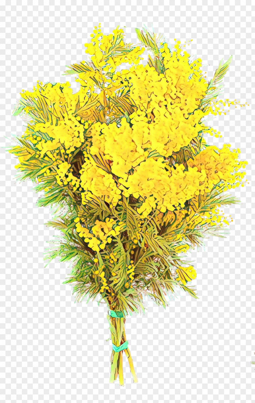 Plant Stem Mimosa PNG