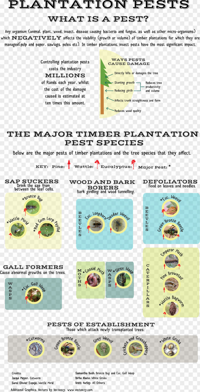 Plantation Pest Control Disease Forestry PNG