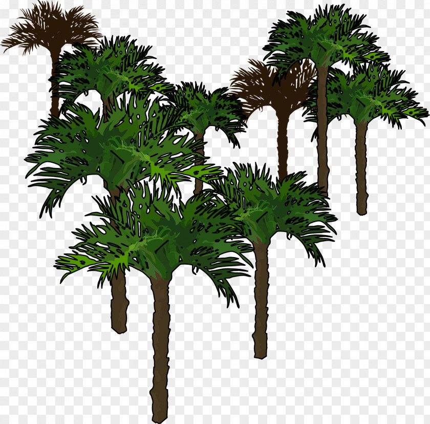 Technology Asian Palmyra Palm Arecaceae Information And Communications Area PNG