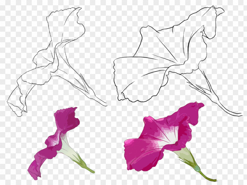 Best Part Floral Design Drawing Watercolor Painting PNG