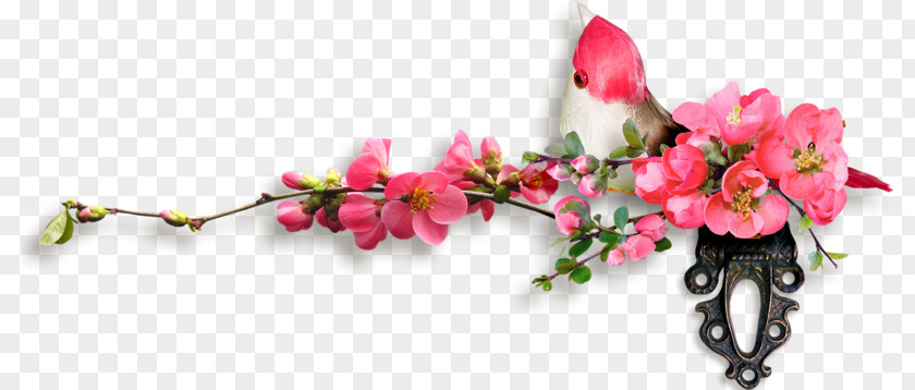 Flower Floral Design Cut Flowers Image Painting PNG