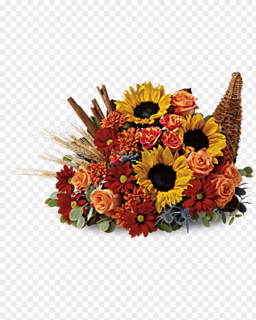 Flowering Plant Orange Floral Design PNG