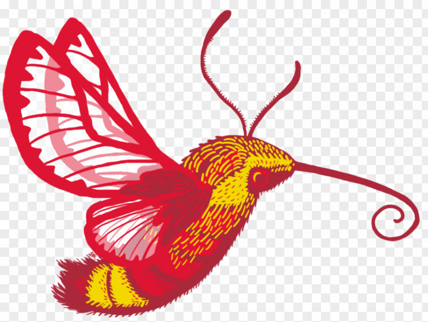 Humming Bird Cartoon Butterfly Hummingbird Hawk-moth Clip Art PNG