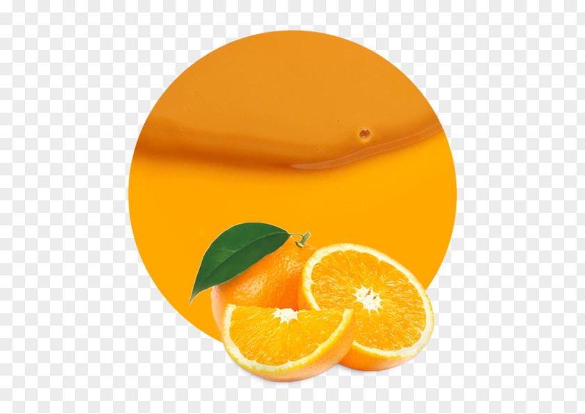 Orange Juice Concentrate Clementine PNG