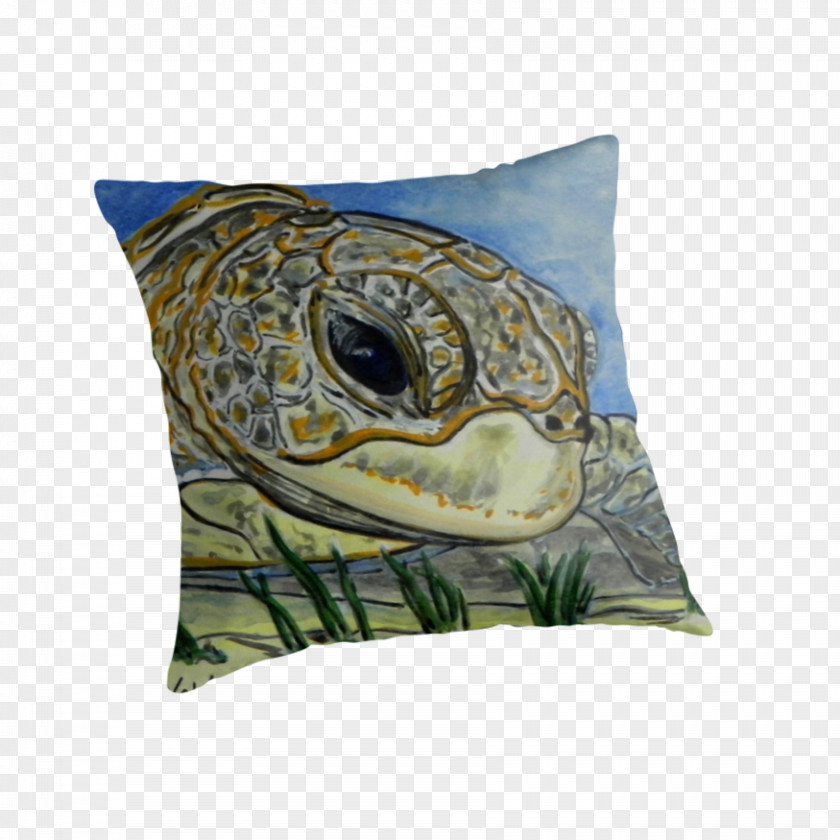 Turtle Throw Pillows Cushion PNG