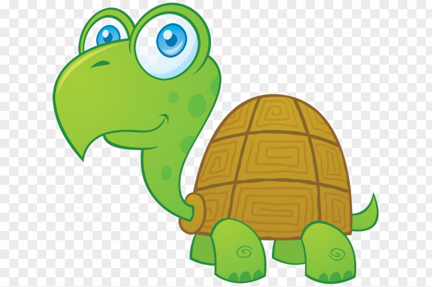 Turtle Vector Graphics Royalty-free Image Clip Art PNG