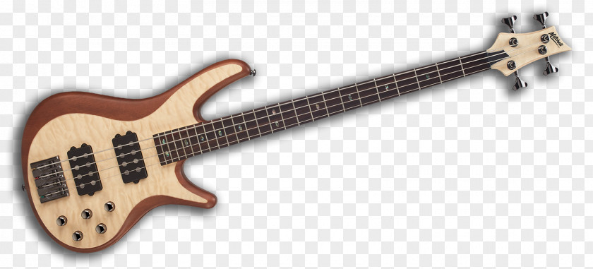 Bass Guitar Musical Instruments Electric String PNG