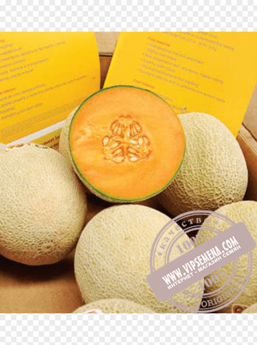 Cantaloupe Honeydew Vegetarian Cuisine Seed Rijk Zwaan PNG