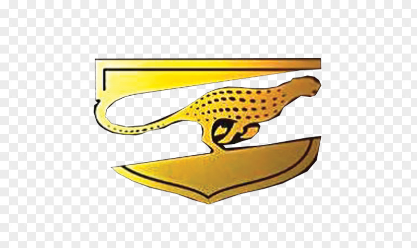Cheetah Logo Cricket Club Field PNG
