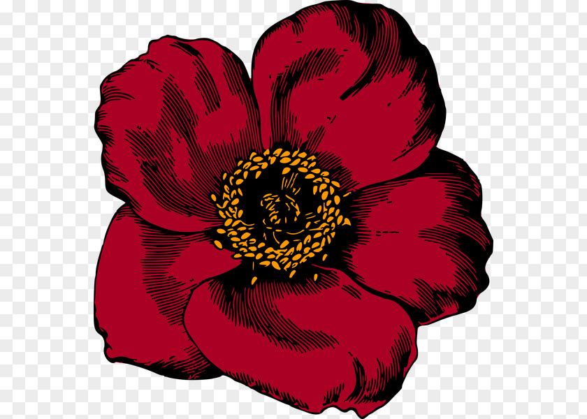 Flower Red Poppy Clip Art PNG