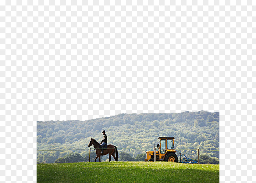 Man On Horseback Tractor Equestrianism PNG