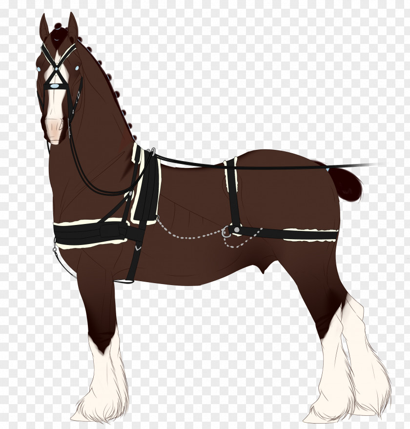 Mustang Mule Foal Bridle Stallion Pony PNG