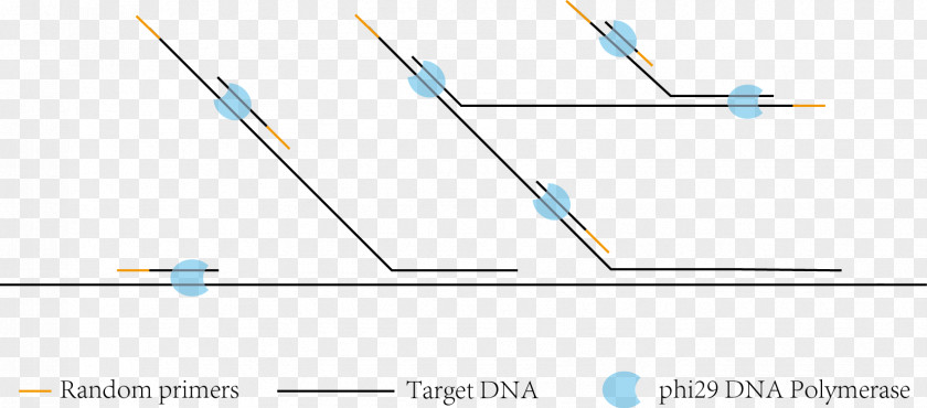 Technology Brand Line Angle PNG