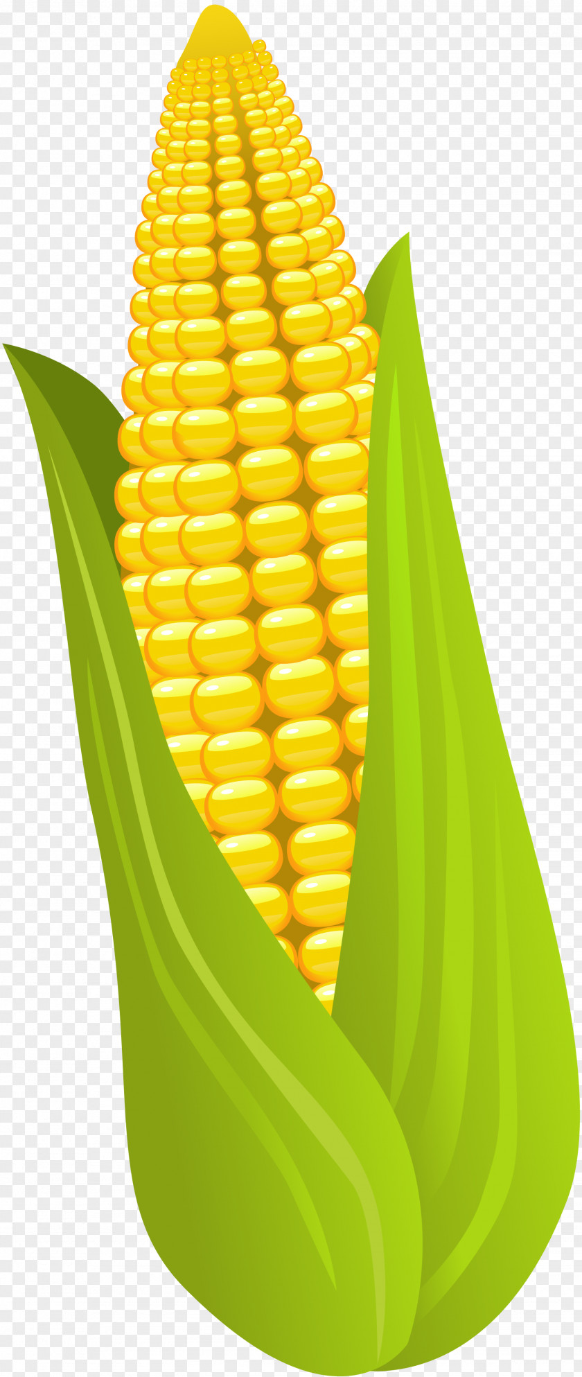 Vector Seafood Corn On The Cob Maize Food Vegetarian Cuisine Vegetable PNG