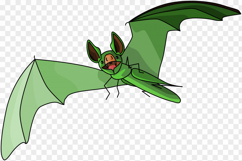 Bat Insect Butterfly Wing PNG
