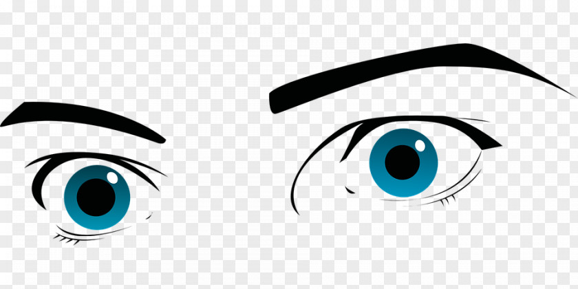 Eye Eyebrow Clip Art PNG