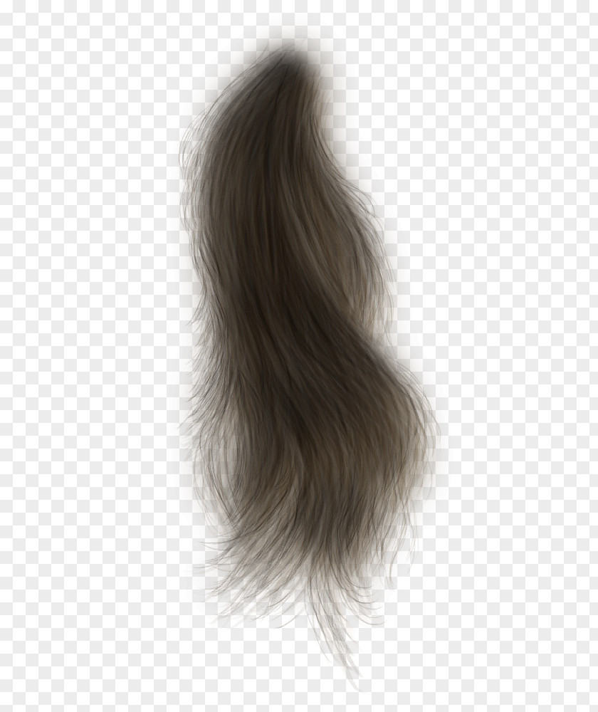 Hair Black Wig Long Hairstyle PNG