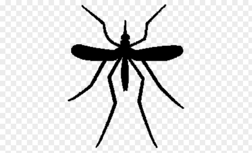 Mosquito Pest Control Fly Rodent PNG