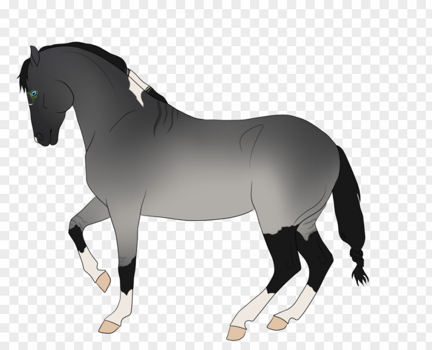 Mustang Mane Stallion Mare Rein PNG