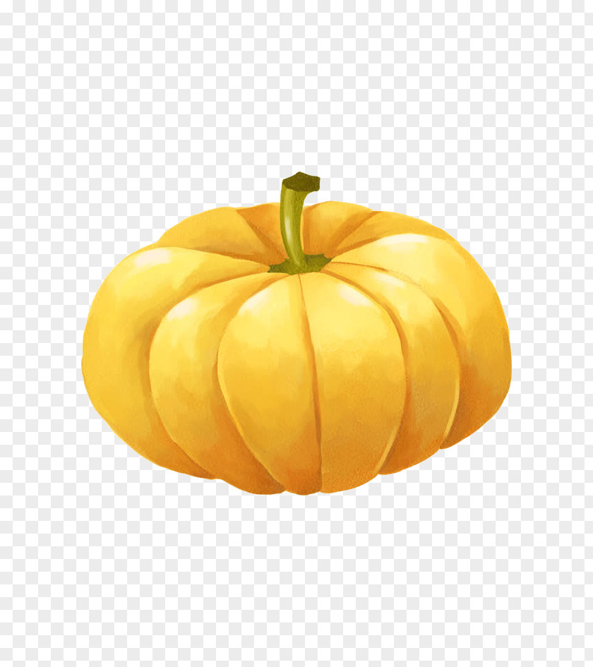 Pumpkin Winter Squash Calabaza Gourd PNG