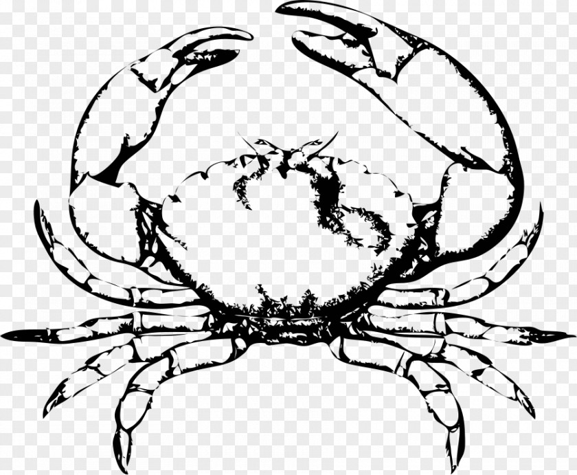 Crab Vector Chesapeake Blue Free Content Clip Art PNG