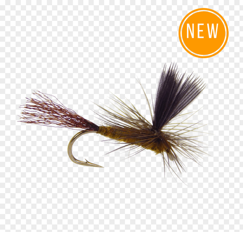 Fishing Artificial Fly The Salmon Dry Tying PNG