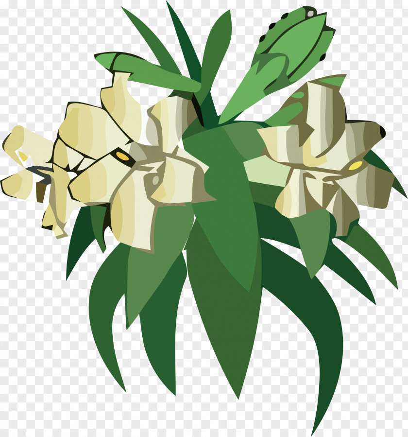 Floral Design PNG