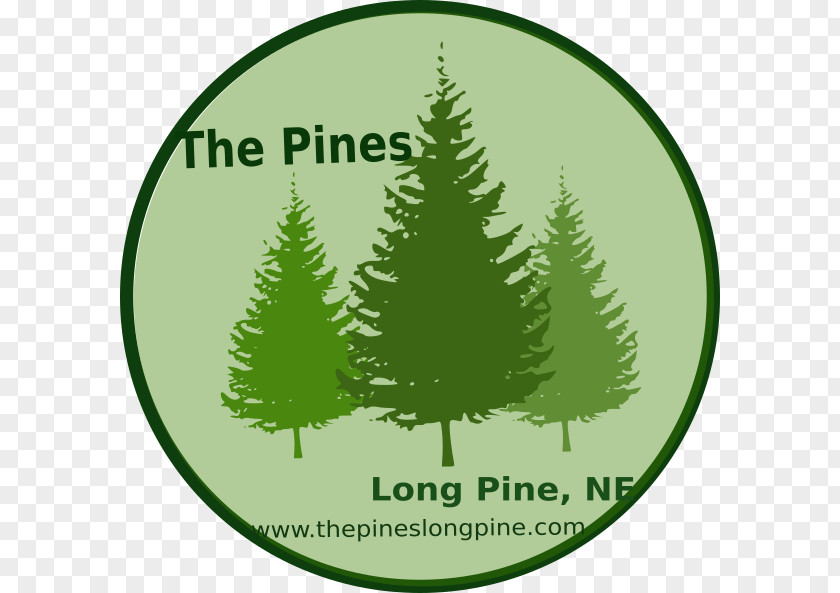 Green Olive Tree Garden Pine Fir Clip Art Evergreen Conifers PNG