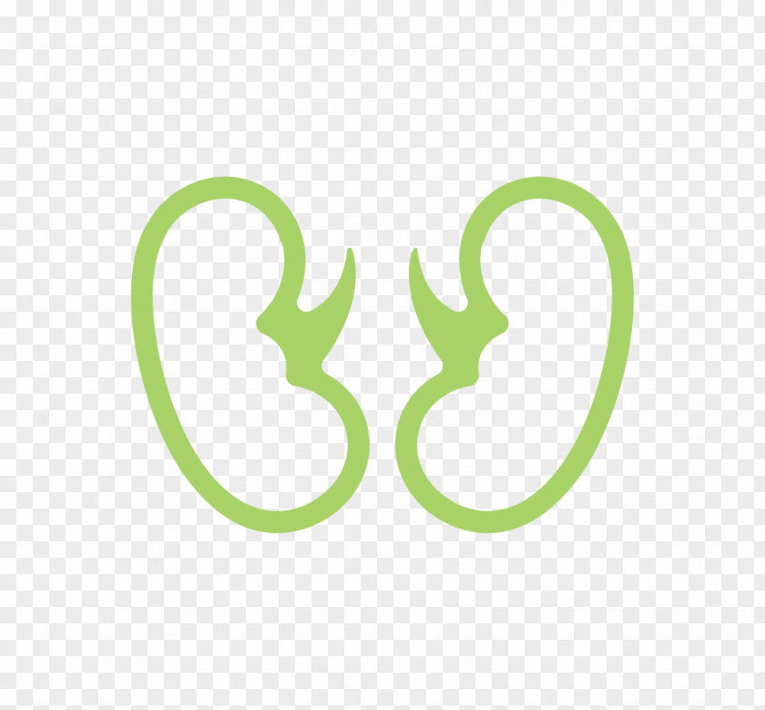 Kidney Transparent Background Clipartmax Hemodialysis Hospital Health Logo PNG