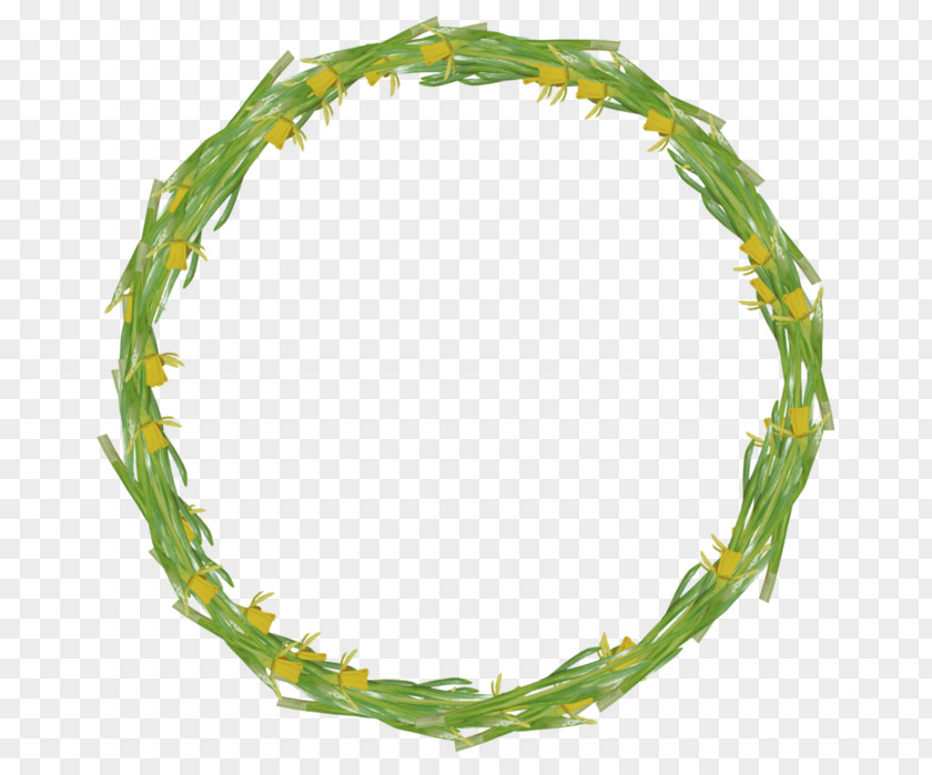 Picture Frames Image Green Round 8 Frame PNG