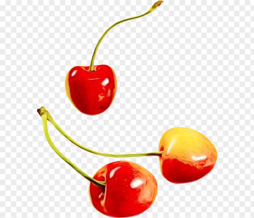 Plant Red Fruit Cartoon PNG
