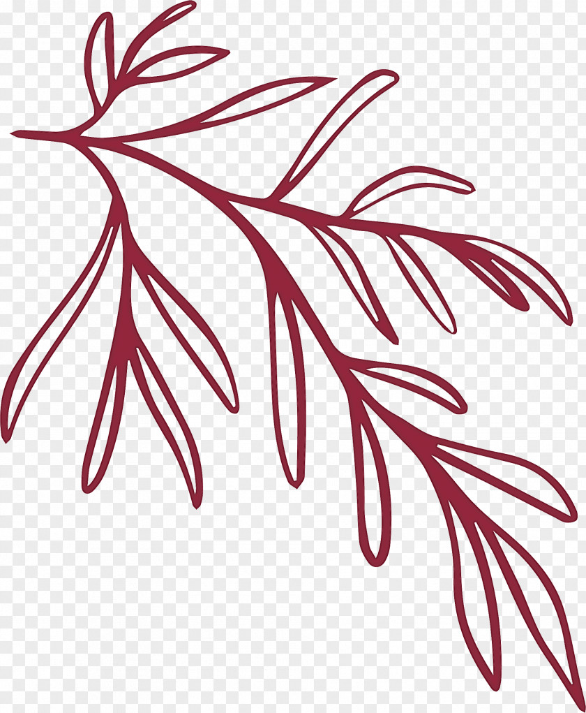 Simple Leaf Drawing Outline PNG