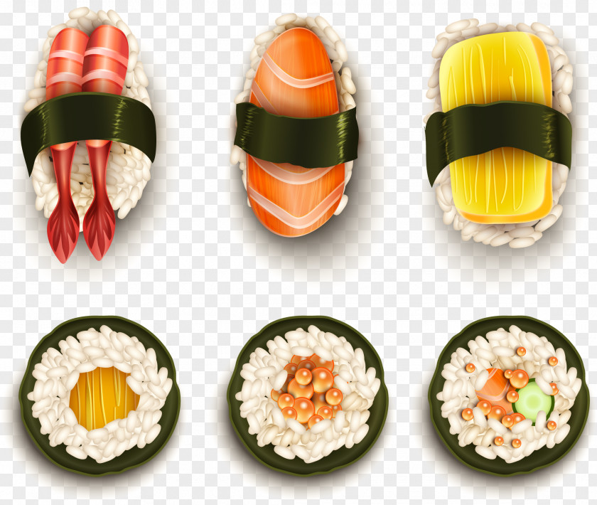Vector Hand-painted Japanese Cuisine California Roll Sushi Illustration PNG