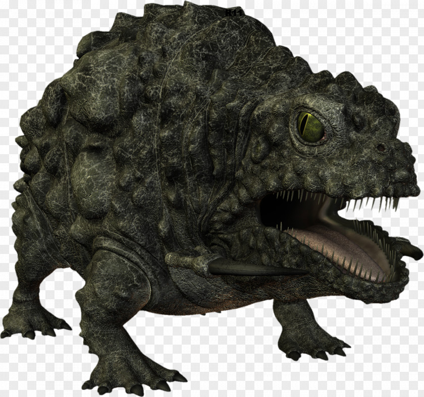Reptile Terrestrial Animal Toad PNG