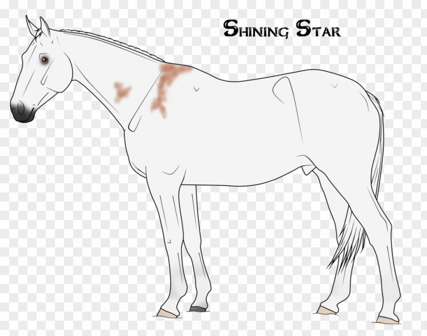 Shining Star Mule Foal Stallion Mustang Pony PNG