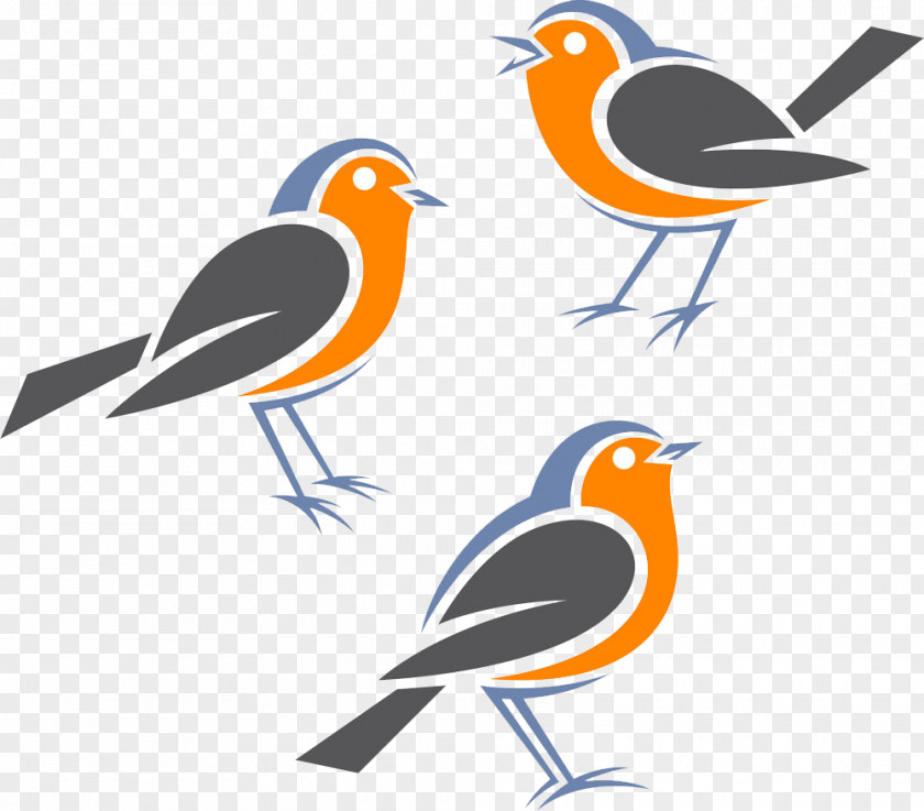 Sparrow Graphic Design European Robin Bird American PNG