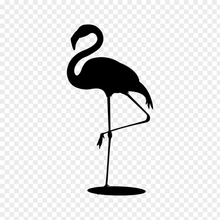 Taobao Phoenicopterus Shop Bird Clothing Accessories PNG