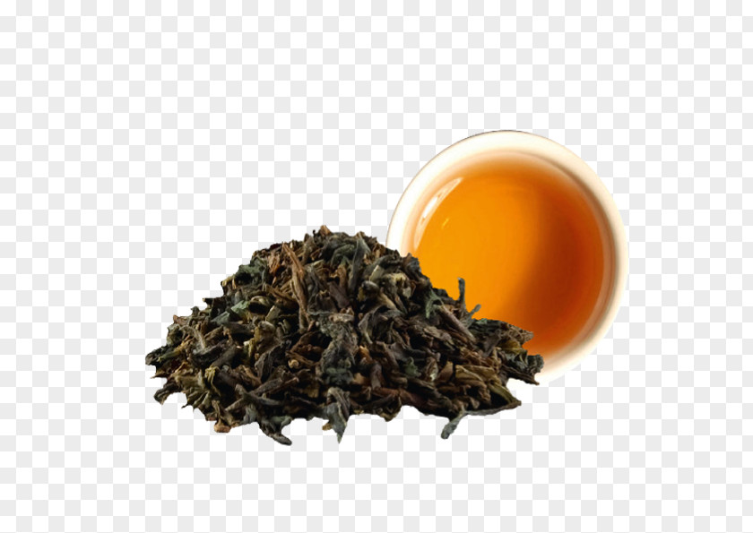 Tea Darjeeling Nilgiri Dianhong Oolong PNG